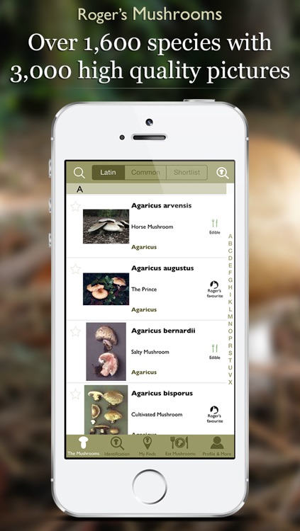 Roger's Mushrooms (Lite)