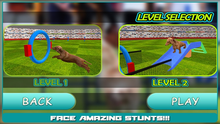 Dog Show Simulator 3D: Train puppies & perform amazing stunts screenshot-4