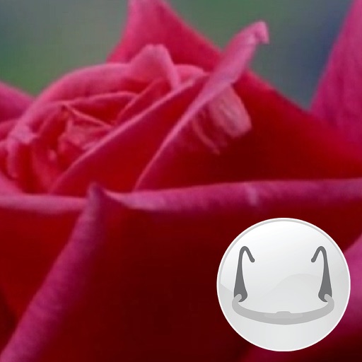 Flowers (Breathing Games) iOS App