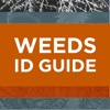 Weeds ID Guide – North Central Victoria