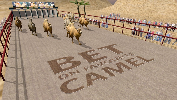 Camel Racing Simulator 3D - Real derby sport simulation game