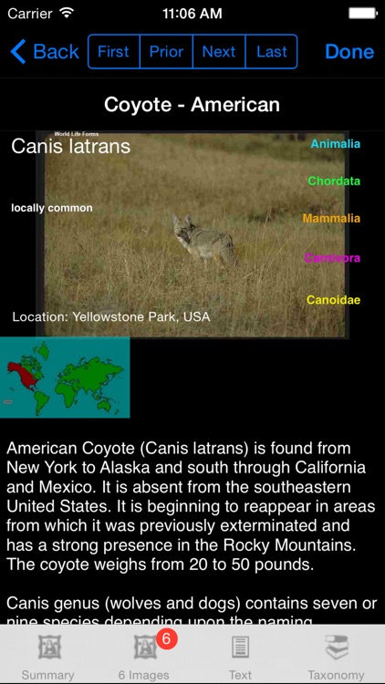 Mammals of North, Central & South America - A Mammal App screenshot-3