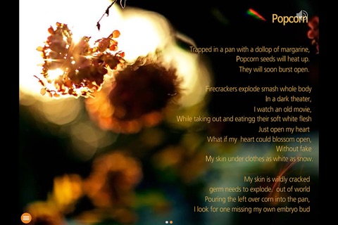 Poems & Photos Lite screenshot 3