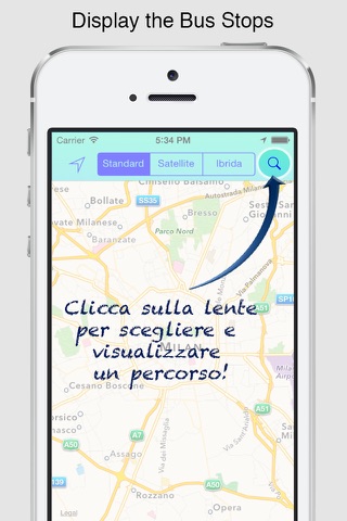 Bus Italy screenshot 3