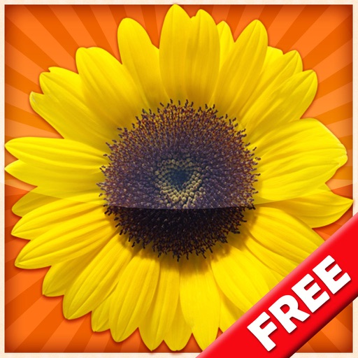 Learn By Fun Flowers Free icon