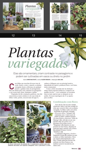 Revista Natureza Brasil(圖3)-速報App