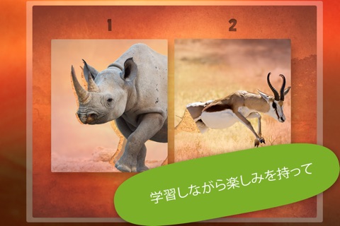 Wildlife Safari Photo Jigsaw Puzzle Free screenshot 2
