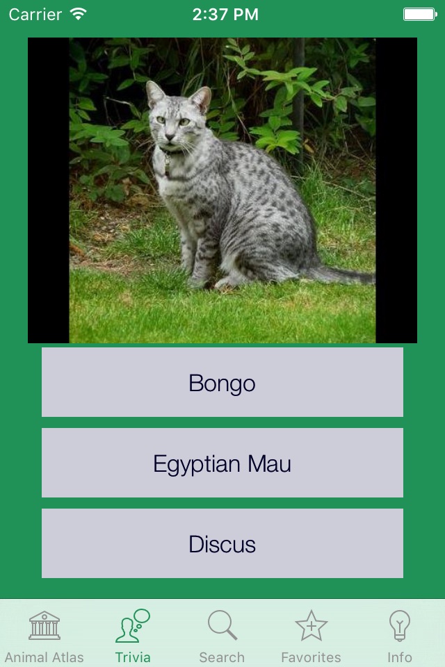 Animal Atlas screenshot 3