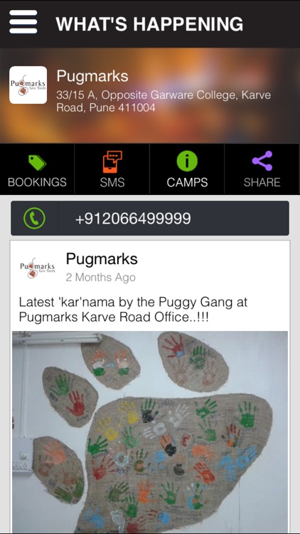 Pugmarks