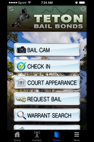 Idaho Bail screenshot 3