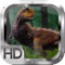 Dinosaur Hunter Crossing Pro