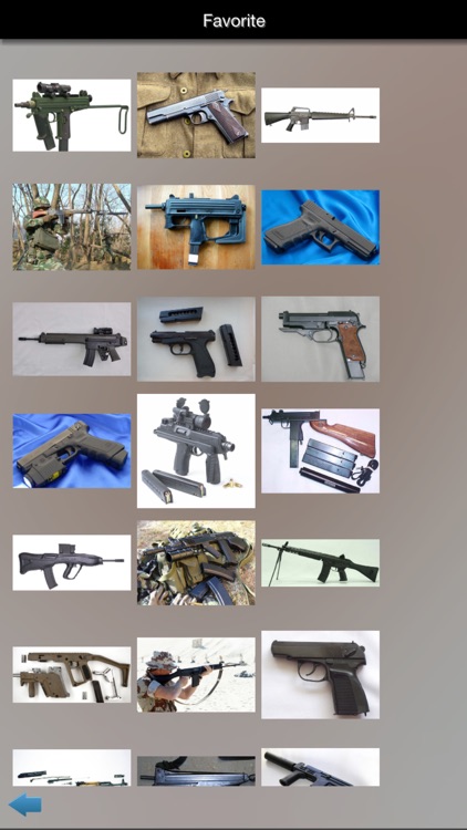 Military Firearms
