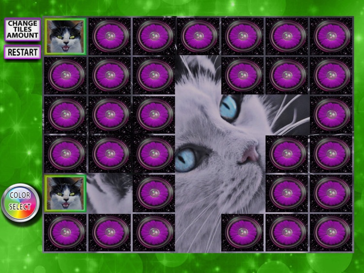 Cats Memory Matching Pairs - Improve concentration in this rainbow game screenshot-3