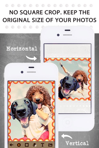 Animal Face Pro - Cat stickers for your photos and more screenshot 4