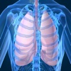 Human Respiratory System Trivia Game