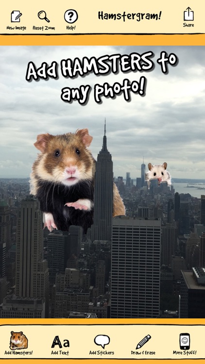 hamstergram - make people hamsters instantly and more!