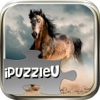 iPuzzleU Horses