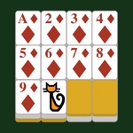 Thoroughly Card Beijing