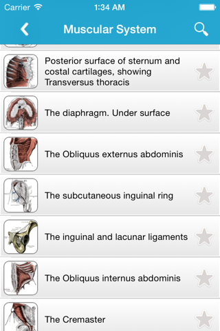 Gray's Anatomy 2014 screenshot 3