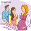 Surrogacy Guide:Discounted Life