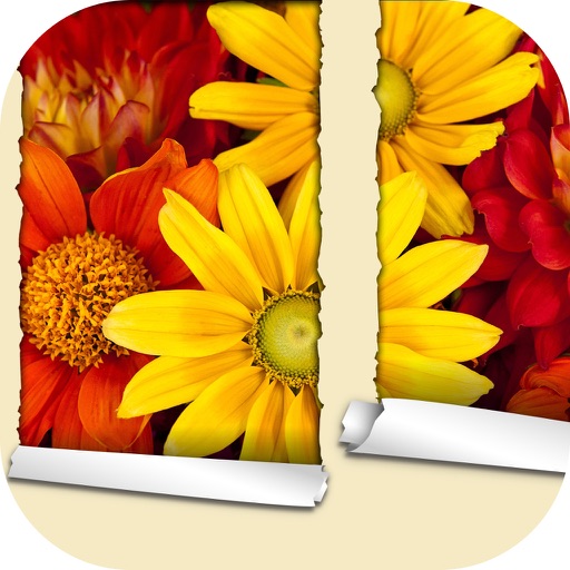 Flower Wallpaper for iPhone 2016 – Beautiful Nature Backgrounds and HD Lock Screen Themes icon