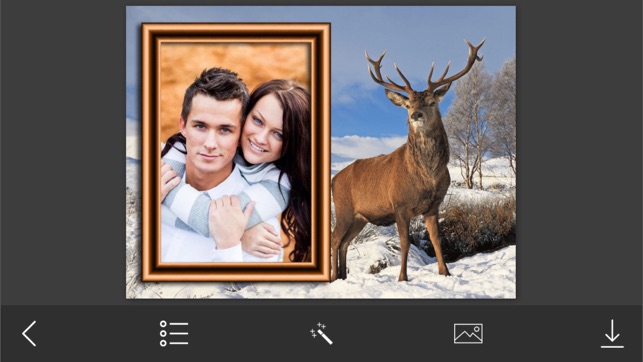 WildAnimal Photo Frame - Amazing Picture Frames & Photo Edit(圖3)-速報App