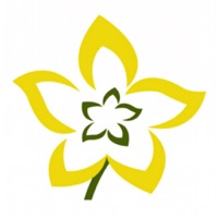 Bailiwick Market  Café