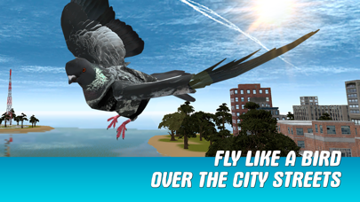 City Pigeon Simulator 3D Screenshot on iOS