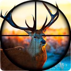 Activities of Sniper Deer Hunting Pro - Hunt Wild Jungle Animals in the Extreme Winter