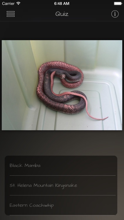 Snakes Wiki +