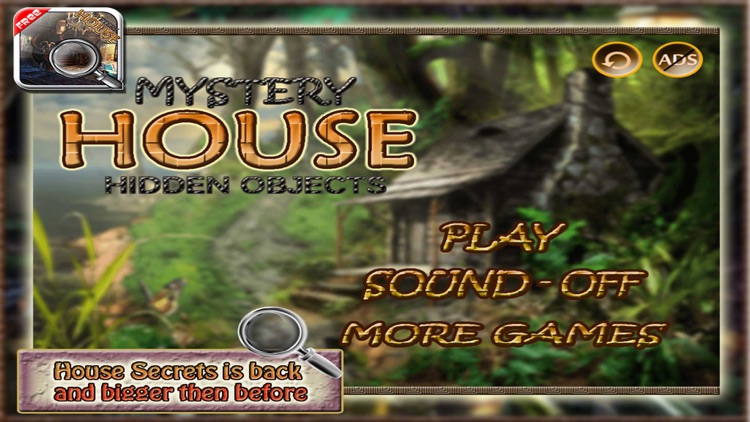 Mystery House Hidden Objects