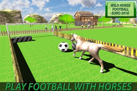 Wild Horse Football Soccer Simulator - For Euro 2016 Special screenshot 2