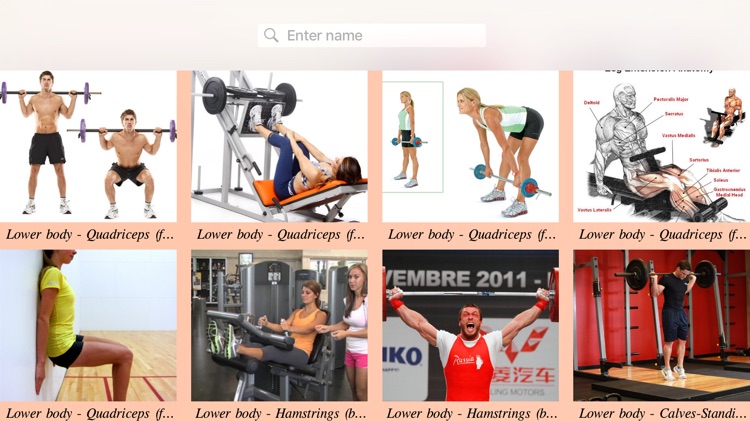 Body Building Exercises Guide
