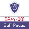 BPM: Business Process Manager