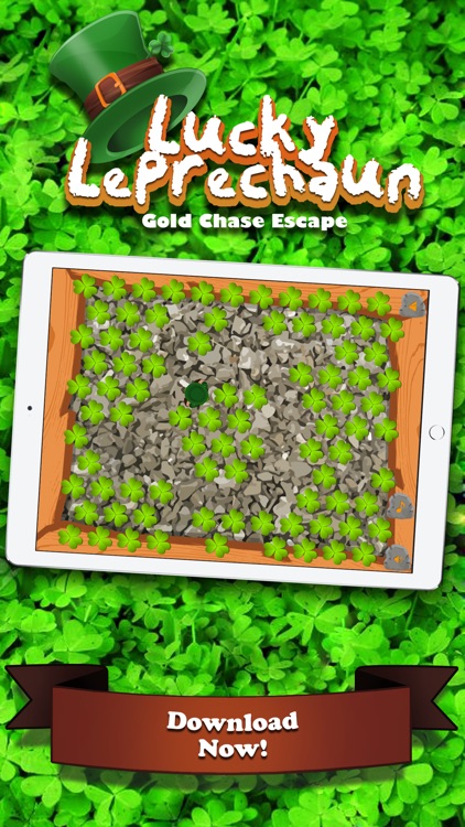 Lucky Leprechaun Gold Chase Escape Pro