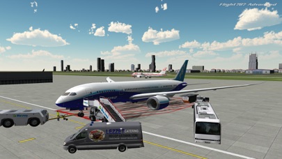 Flight 787 - Advanced screenshot1
