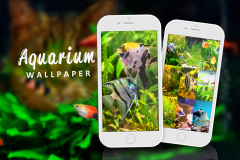 Aquarium Wallpaper – Relax.ing Fish Tank Backgrounds With Beautiful Lock Screen Theme.s screenshot 3