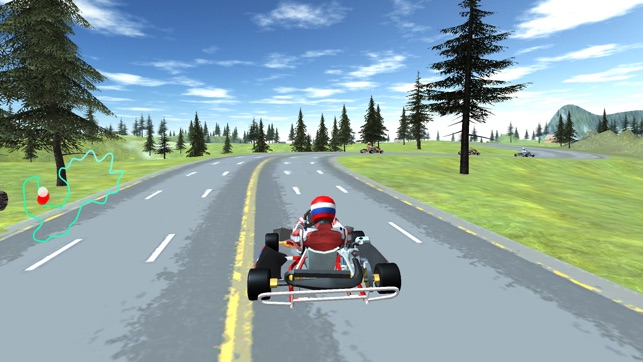 GO KART CHAMPIONSHIP 3D RACING(圖2)-速報App