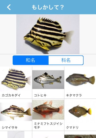 Mikke Fish ID screenshot 2