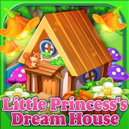 Little princess's dream house