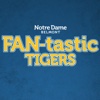 FAN-tastic Tigers