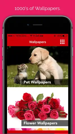 Game screenshot Pet wallpaper pictures : Background of flowers, cats and dogs for your mobile lock screen mod apk