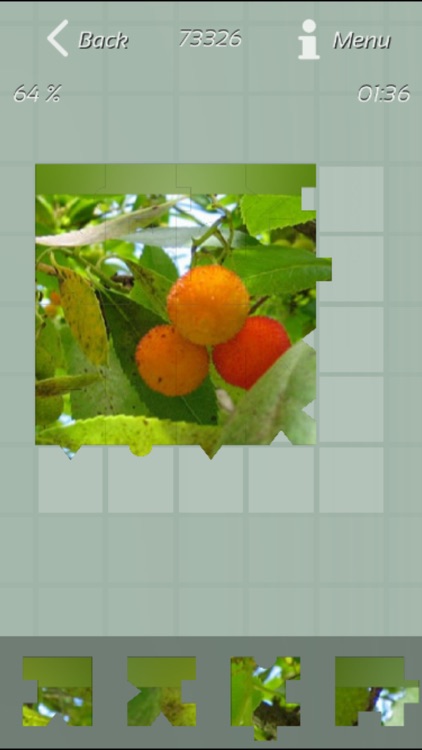 Fruits Jigsaw Puzzles
