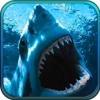 Underwater Shark Attack Spear Fishing
