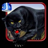 Wild Stray Black Panther