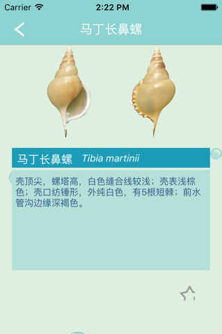 海洋生物 screenshot 2