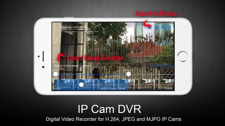 IP Cam DVR