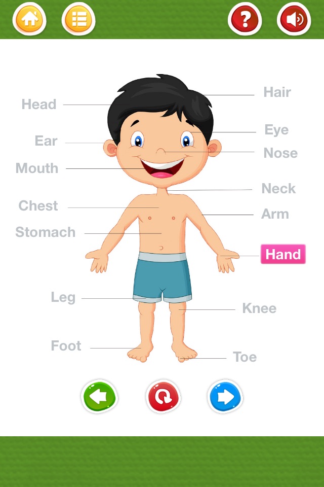 English for Kids - Kids Start Learning English screenshot 4