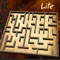 Icon RndMaze - Classic Maze Free