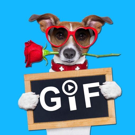 Hi5GIF - GIF Camera and Cards icon